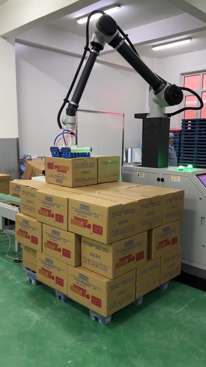 CR50L 吸取工装和纸箱位于多层托盘纸箱垛上方